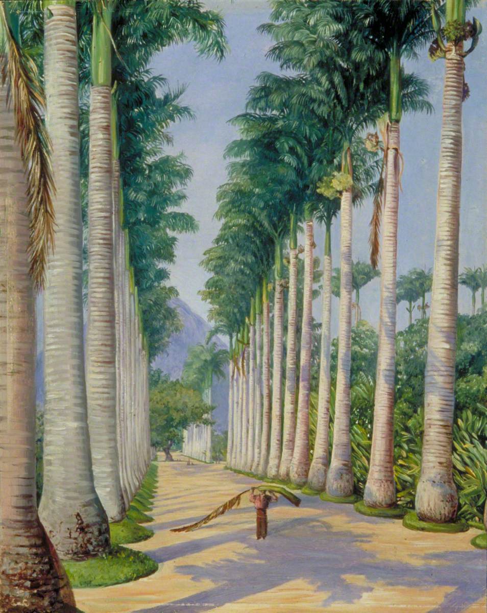 https://artuk.org/download/side-avenue-of-royal-palms-at-botafogo-brazil-88255